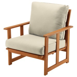 Eucalyptus Grandis Wood Cushioned Club Chair Beige - National Tree Company - 1 of 4