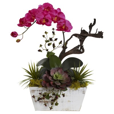 Orchid & Succulent Garden with White Wash Planter - Nearly Natural