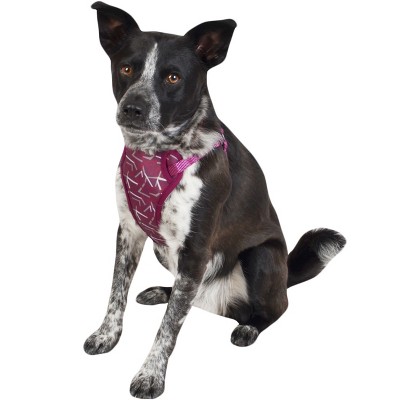 Cat & Dog Harness - Plum - Medium - Boots & Barkley™