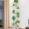 GustoWave Plant Stand Indoor, 8 Tier Tall Metal Plant Stand Shelf for Indoor Plants Multiple, 141CM Large Corner Shelves Display Shelving - 2 of 4