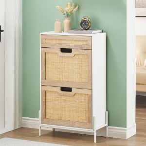 Shoe Storage Cabinet with 2 Flip Drawers, Natural Rattan Shoe Organizer with Metal Legs and Adjustable Shelf - 1 of 4