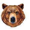 MasterPieces 100 Piece Jigsaw Puzzle - Grizzly Bear - 11.49"x11.34" - 3 of 4