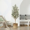 Artificial Olive Tree with Wood Trunk, 5/6/7ft Pencil Faux Olive Trees - UV Resistant Floor Plants for Home Decor - Living Room, Entryway, Foyer - 2 of 4
