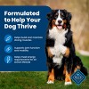 Blue Buffalo Life Protection Formula Natural Adult Dry Dog Food with Chicken and Brown Rice - 4 of 4