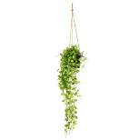 Vickerman 29" Artificial Green Mini Leaf Ivy in Hanging Pot.