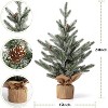24" Artificial Tabletop Mini Christmas Tree, Small Green Frosted Christmas Tree with Burlap Base, Miniature Pine Tree Christmas Tree Decoration - 2 of 4