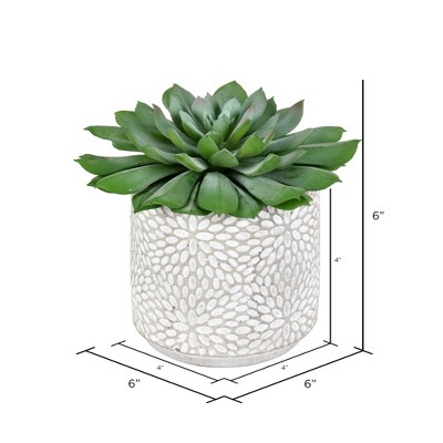 Green Plastic Potted Succulent Tabletop Centerpiece, 13"