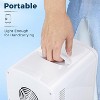 ZAFRO Star Compact Refrigerator, Portable Mini Fridge, Skin Care 4L Capacity/6 Cans, for Bedroom, Car, Office & Dorm, Small Cooler for Cosmetics,White - 4 of 4