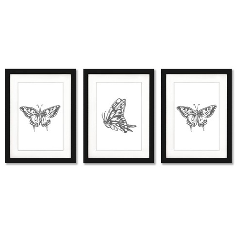 (set Of 3) Butterfly Sketch By Jetty Home Black Matted Framed Triptych ...