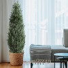 Set of 2 Potted, Faux Cedar Trees - Lifelike UV-Protected Topiary for Front Door Decor, Porch, Garden, and Entryway - Indoor/Outdoor - 2 of 4
