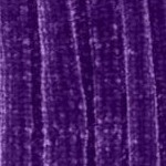 radiant purple