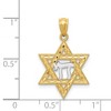 Black Bow Jewelry 14k Yellow Gold & Rhodium D/C Star of David & Chai Pendant, 16mm - 4 of 4