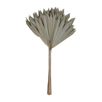 Vickerman 46 Dried Bleached Pampas Grass, 6 Pieces Per Pack. : Target