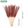 Unique Bargains Dried Plants Artificial Durable Small Fluffy Pampas Grass for Home, Office, Party 20 Pcs 21.7 Inch - 3 of 4