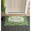 Evergreen Indoor/Outdoor Moss Green Welcome Dragonfly Outdoor Embossed Floor Mat | 30 x 1 x 18 inches - 2 of 3