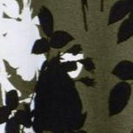 dark olive green graphic floral