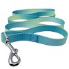 Doggie Design American River Ombre Leash - Aruba Blue - image 2 of 3