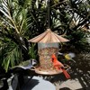 SEVOBAL Pet Bowl Vintage Bronze Bird Feeder with Petal Roof, Garden Wildlife Feeding Station for Bird Lovers, Brown, 8.27"*8.27"*5.51" - 2 of 4