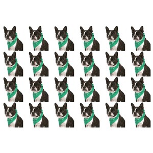 24 Pack Cotton Paisley Dog Bandanas Bulk Set for Groomers Shelters or Parties - 1 of 4