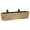 vidaXL Planters 2 pcs Water Hyacinth - 2 of 4