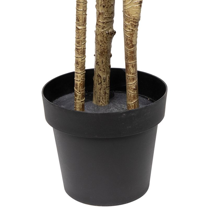 Northlight Real Touch™️ Green Artificial Dracaena Marginata Plant in Black Pot - 5.5', 5 of 8