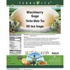 TerraVita Blackberry Sage Yerba Mate Tea (50 tea bags, ZIN: 559651, 3-Pack) - 2 of 4