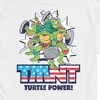 Men's - Teenage Mutant Ninja Turtles - Turtle Power Americana Short Sleeve Graphic T-Shirt - 2 of 4