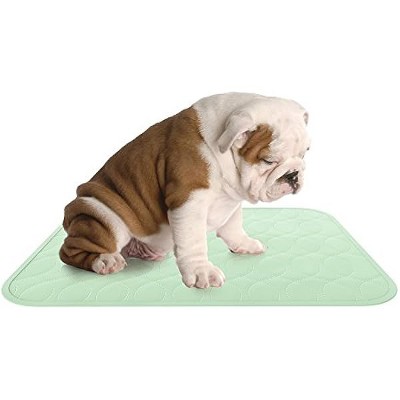 Puppy Pads Pet Training Mat- 2 Pack Quick Absorb, Waterproof, Machine Washable, Reusable-
