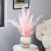 Uniquewise Preserved Real Floral Stems Chic Vase Fillers & Accents for Bouquets Centerpieces - 2 of 4
