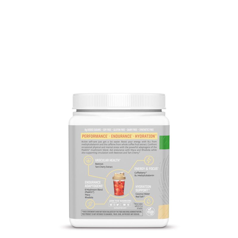 Sunwarrior Active Energy Pre-Workout Plus Hydration Powder, Peachy Mango Flavor, 285g, 3 of 6