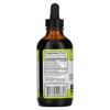 Whole World Botanicals Royal Chanca Piedra Kidney-Bladder Support, 4 oz (118 ml) - 2 of 3