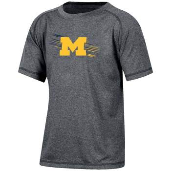 NCAA Michigan Wolverines Boys' Gray Poly T-Shirt