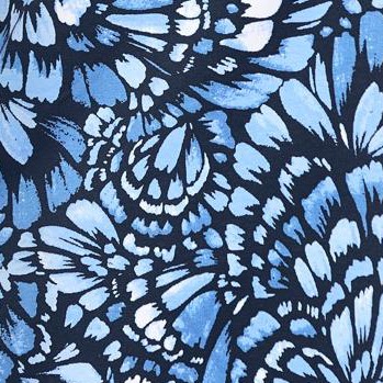 navy feather
