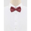 Allegra K Men's Halloween Polka Dots Pre-Tied Work Formal Party Tuxedo Bowknot Bow Ties - 2 of 4