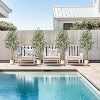 Faux Olive Tree 5ft - Real Touch Leaves & Fruits, PE with Natural Wood Trunk in White Pot - No Watering for Living Room/Office - 2 of 4
