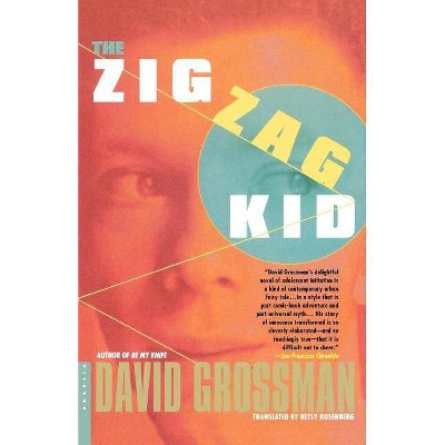 The Zig Zag Kid - by  David Grossman (Paperback)