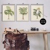 Stupell Industries Les Palmiers Botanical Trio, 24" x 30" - 3 of 4
