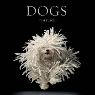 Dogs - by  Tim Flach (Hardcover)