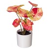 Vickerman 16" Artificial Variegated Leaves in Pot. - 2 of 3