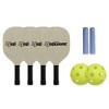 Triumph Sports 4 Square Pickleball Lawn Sports Set - image 2 of 4