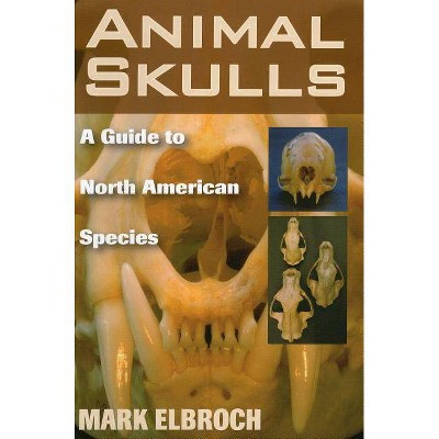 Animal Skulls - by  Mark Elbroch (Paperback)