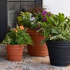 Bloem Rolled Rim 16" Black Round Planter Pot - Resin Indoor or Outdoor Gardening Planter with Optional knock out for Drainage - 4 of 4