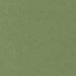 317-olive leaf