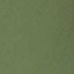 317-olive leaf