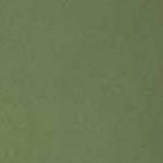 317-olive leaf