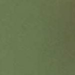 317-olive leaf