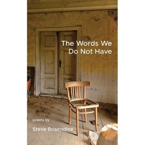 The Words We Do Not Have - by  Steve Brisendine (Paperback) - 1 of 1