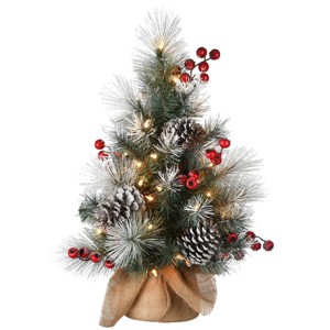 National Tree Company 24" Snowy Glacier Pine Small Tree in Burlap Base Warm White Battery Operated LED Lights with Timer - 1 of 4