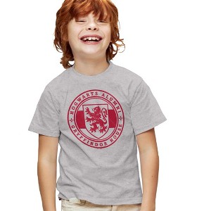 Boys' Harry Potter Gryffindor House Badge T-Shirt - 1 of 4