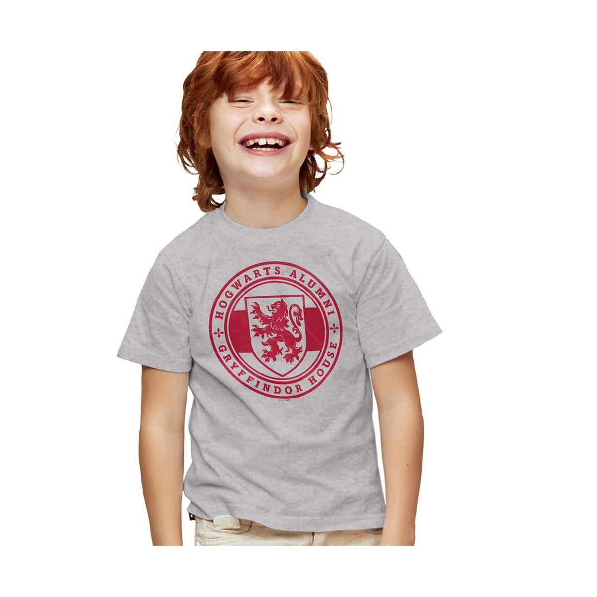 Boys' Harry Potter Gryffindor House Badge T-Shirt